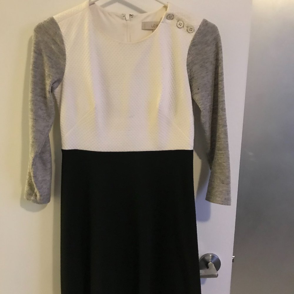 LOFT dress